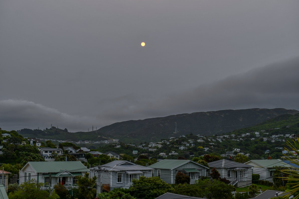 PaulHamerNZ's tweet photo. Bushfire sun now in Wellington NZ, a couple of thousand of km away from the Australian fires. #Bushfires #bushfiresNSW #bushfiresvictoria https://t.co/WI77QPyVBv
