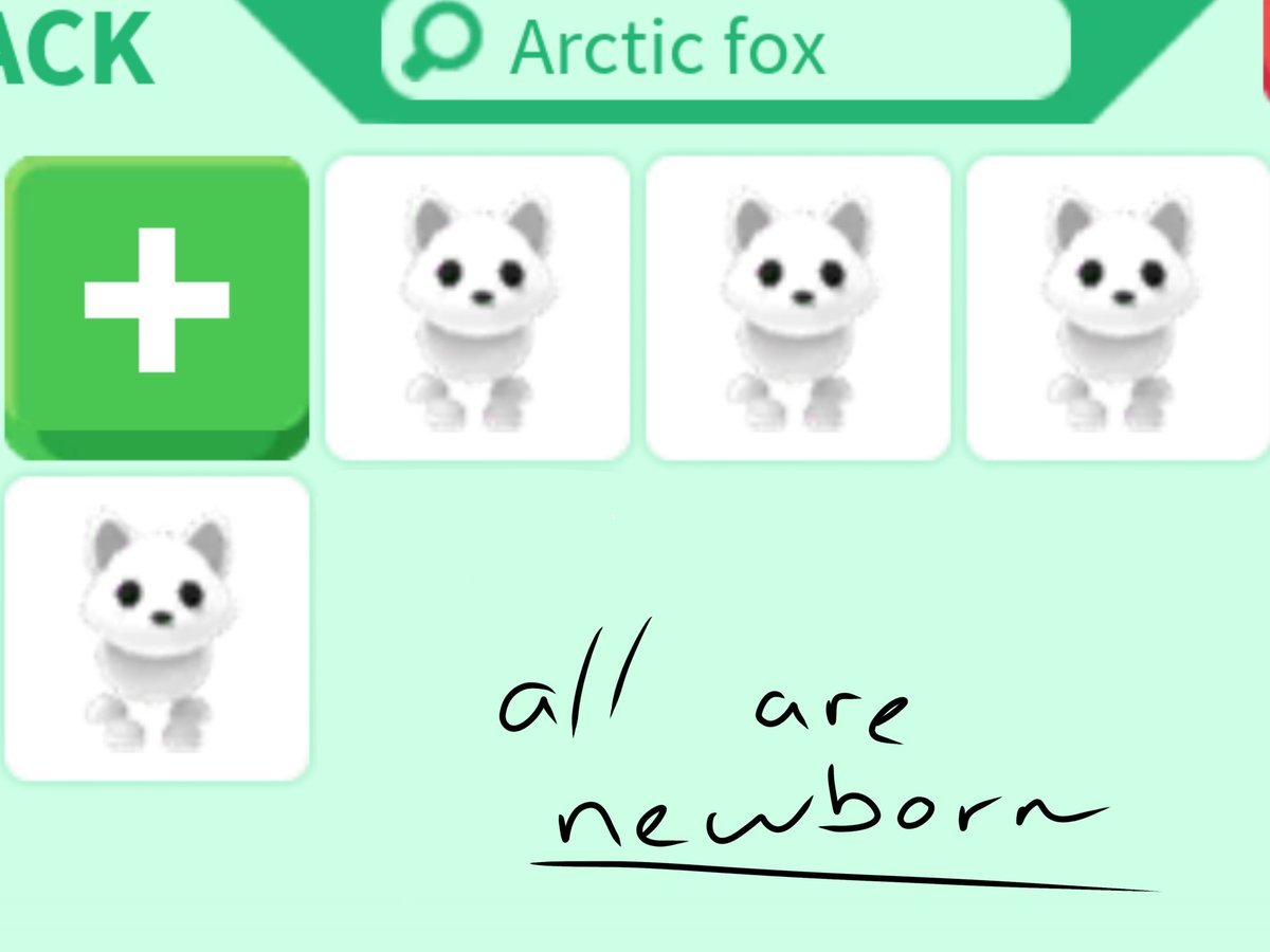 Adopt Me Pet Arctic Fox