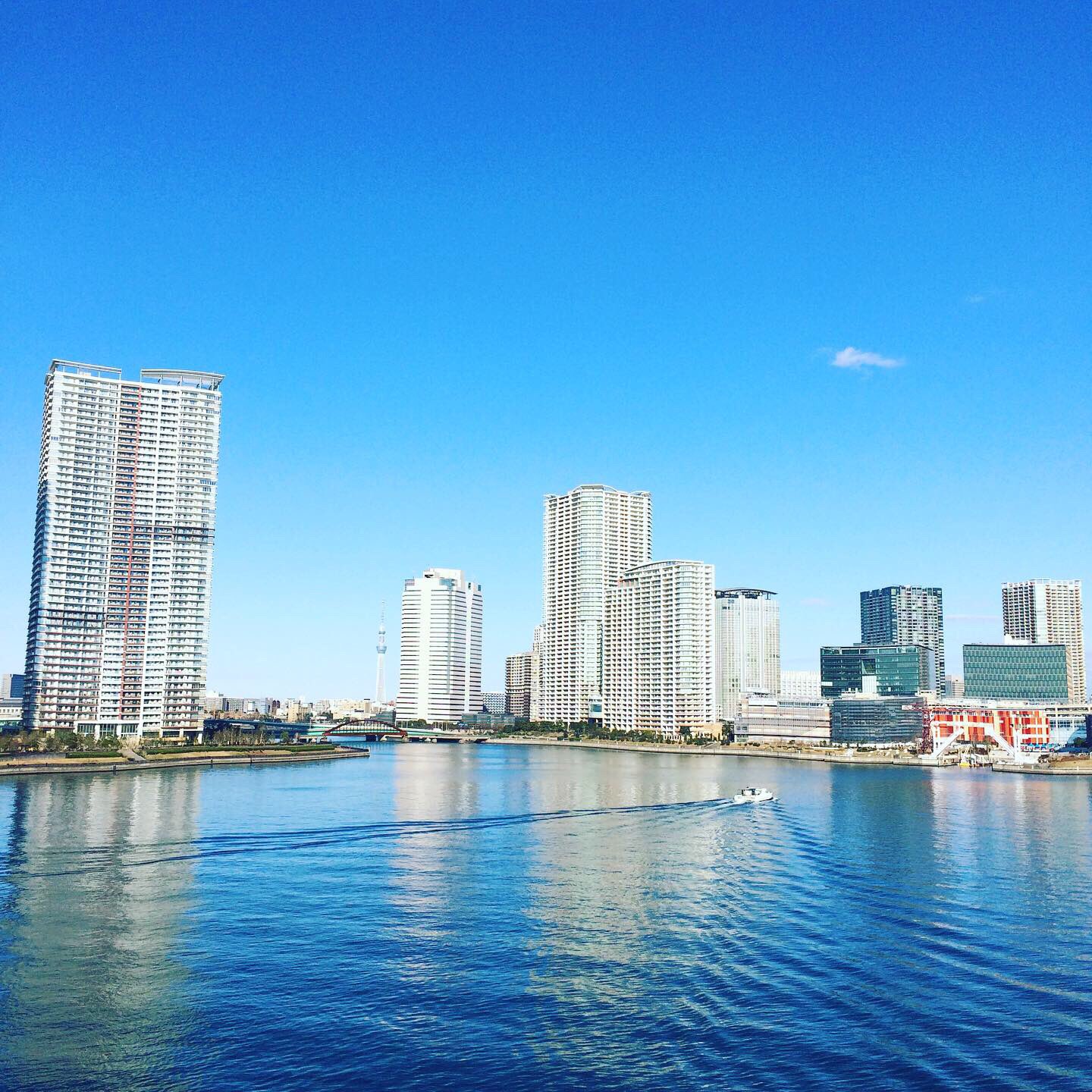 中村千晶 年元旦ラン 晴海大橋 豊洲大橋 ホント景色がだいぶ変わったなあ 晴海大橋 豊洲大橋 元旦ラン T Co Gfqffkvlxe Twitter