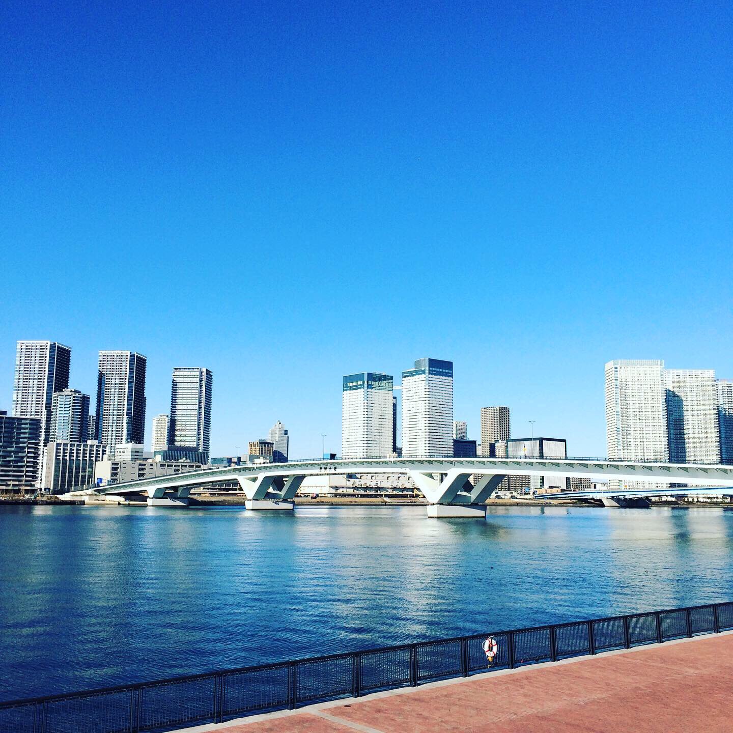 中村千晶 年元旦ラン 晴海大橋 豊洲大橋 ホント景色がだいぶ変わったなあ 晴海大橋 豊洲大橋 元旦ラン T Co Gfqffkvlxe Twitter