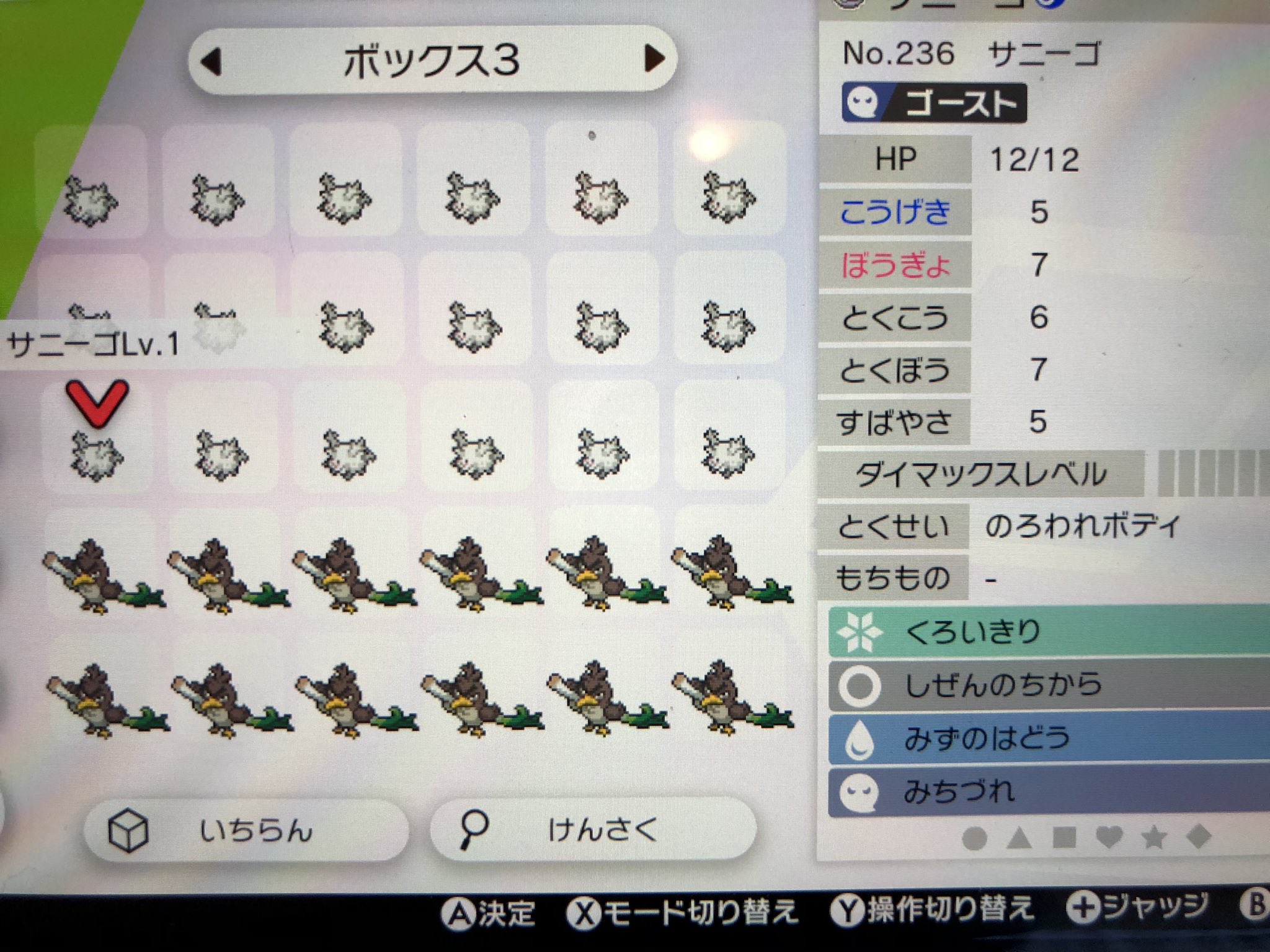 夢サニーゴ Twitter Search Twitter