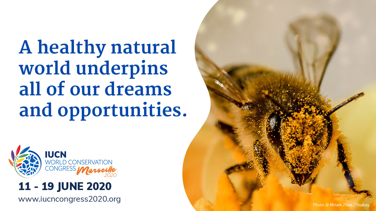 IUCN's tweet photo. Happy New Year to you and yours, 2020 is a critical year for nature and all humanity. 

Join us at the #IUCNcongress to get #Nature right together https://t.co/kuDhZRkcF1 https://t.co/sqqV0YuEdO