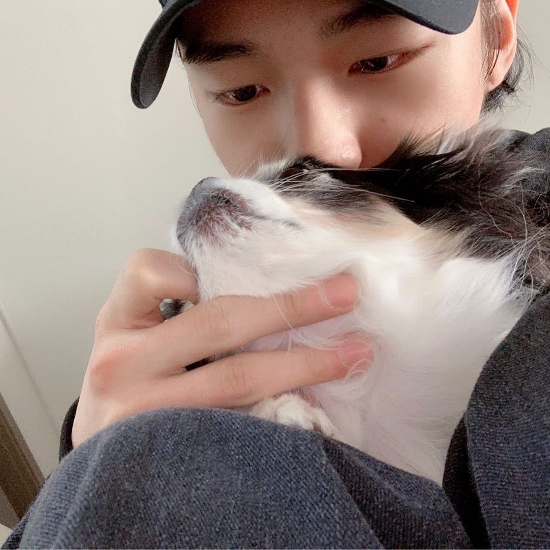 Stray Kids Global on Twitter "[IG UPDATE] Trans “Kkami yaaaaa take