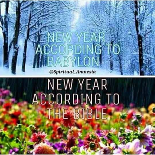 AcColato's tweet image. Pay attention! #JesusIsABitch #YaHaWaHLives!