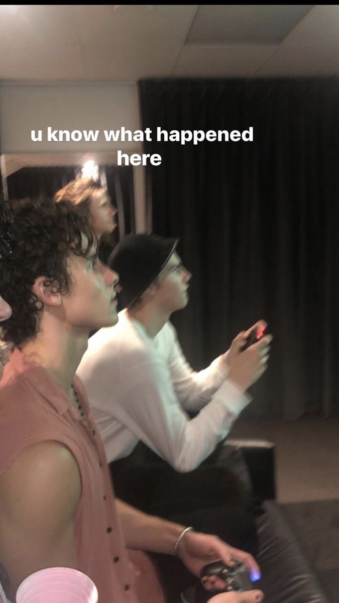 Shawn Mendes Updates On Twitter Ruel Via Instagram Stories Haha How Could We Ever Forget