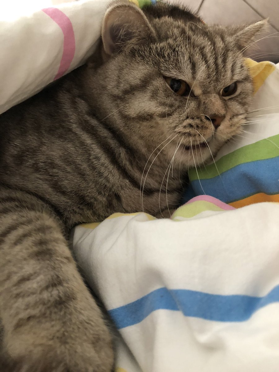 2020 nin ilk tatil gününde erken uyanmışımdır;