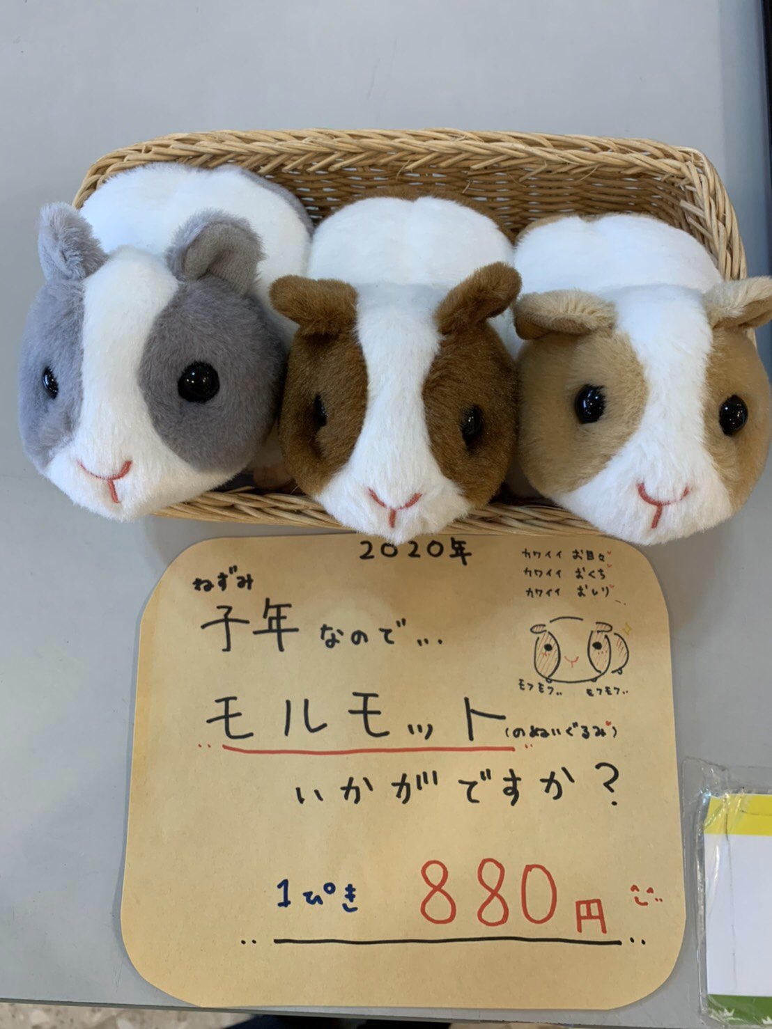 ひるがの高原 牧歌の里 公式 また売店の方にぬいぐるみも販売しております 手のりサイズで本当にかわいいんです おしりもかわいい 今年の主役をどうぞよろしくお願いします 牧歌の里 T Co Zxqhju1n Twitter