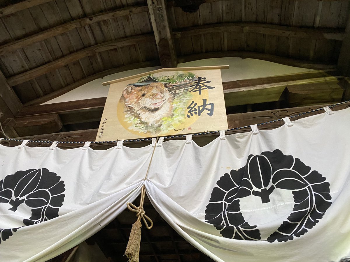 実家の地元の神社に参拝に来たけど、この時間でもそれなりに混んでてビックリ?
今年一発目の運勢は…吉です～
可もなく不可もなく普通? 