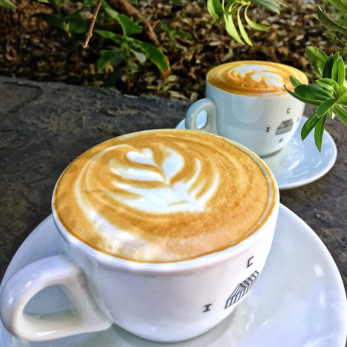 PassionNote's tweet photo. Ma #buongiorno anche a te 😍
📸 di @cofichile
💎💎Scopri i nuovi libri per bartender nel link in Bio!💎💎
.
#caffè #coffee #italy #coffeetime #bar #colazione #food #love #caffe #barista #coffee #espresso #coffeeshop #latteart #coffeelover #coffeetime #cappuccino #specialtycoffee https://t.co/08g8eo7ZMm