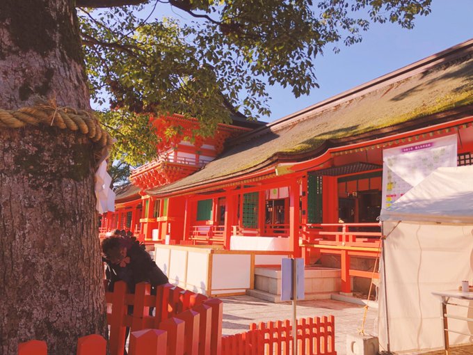 「ロープ 神社」のTwitter画像/イラスト(古い順)