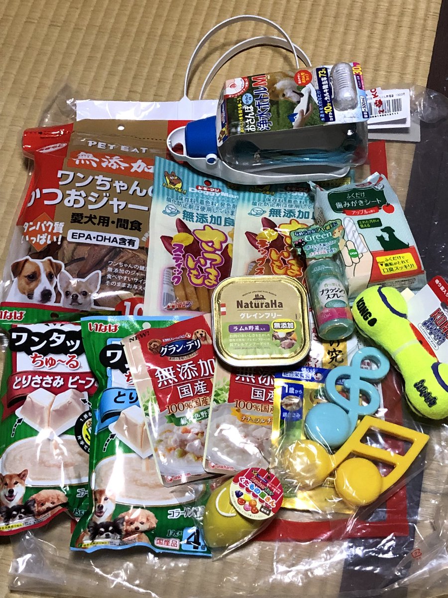 さくら على تويتر ペットのコジマの福袋こんなに入って1100円安い 猫用売り切れてて残念 陽葵ちゃん早速おもちゃ気に入ったみたい