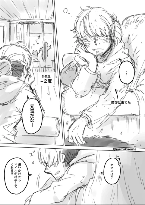 新年0時にはしゃぐイヌたち(2/3) 