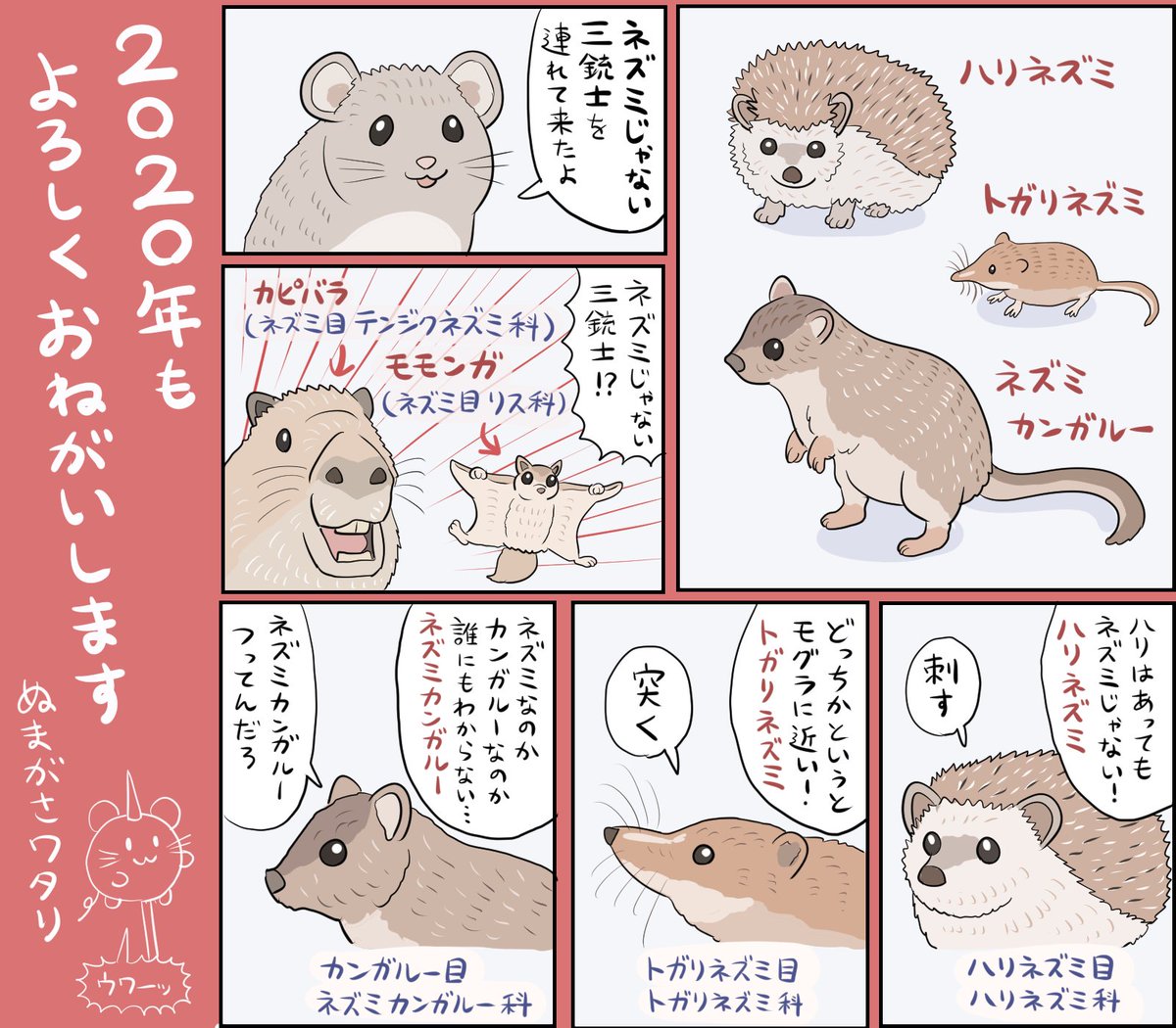 名前にネズミがついてるけどほんとはネズミじゃない よく勘違いされる3種類の動物 話題の画像プラス