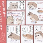 名前にネズミがついてるけどほんとはネズミじゃない!よく勘違いされる3種類の動物!