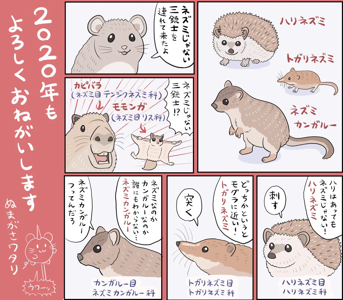 名前にネズミがついてるけどほんとはネズミじゃない！よく勘違いされる3種類の動物！