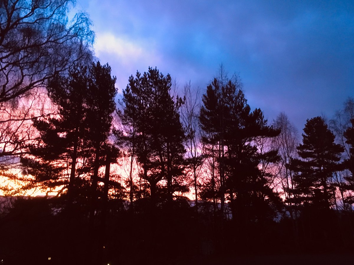 turntheleaf's tweet photo. It’s the first day of a new year, to those who are in abusive relationships, it can be a new beginning 🍃 https://t.co/LlW3uqKd78