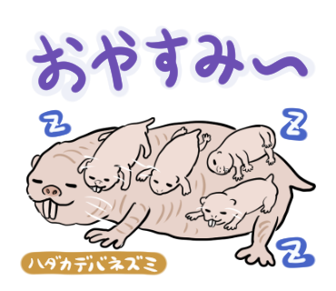 ぬまがさワタリ 一応あけおめイラスト的なやつも描いていたが なんか疲れちゃったから明日でいいや T Co Adt7inno3a Twitter