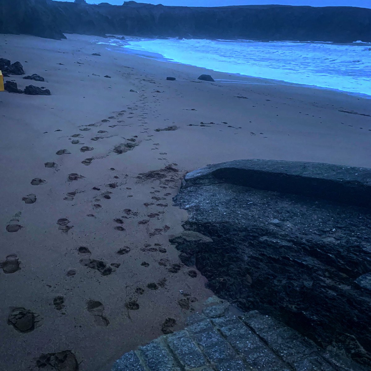 #first #footprintsinthesand #2020 #leaveyours #thisyear #NewYearsResolutions @visitwexford @ancienteastIRL @Failte_Ireland @TheNormanWay #sunnysoutheast #beaches #history #walkingtrails #foodie #gardens #outdooractivites #restandrelaxation patkent.ie #planyourvisit