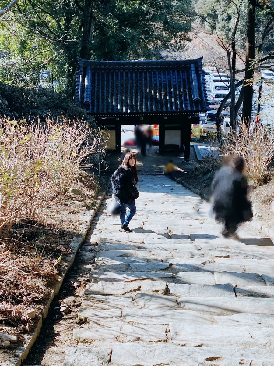 雨引観音(雨引山楽法寺)へ家族で初詣に行ってきました。