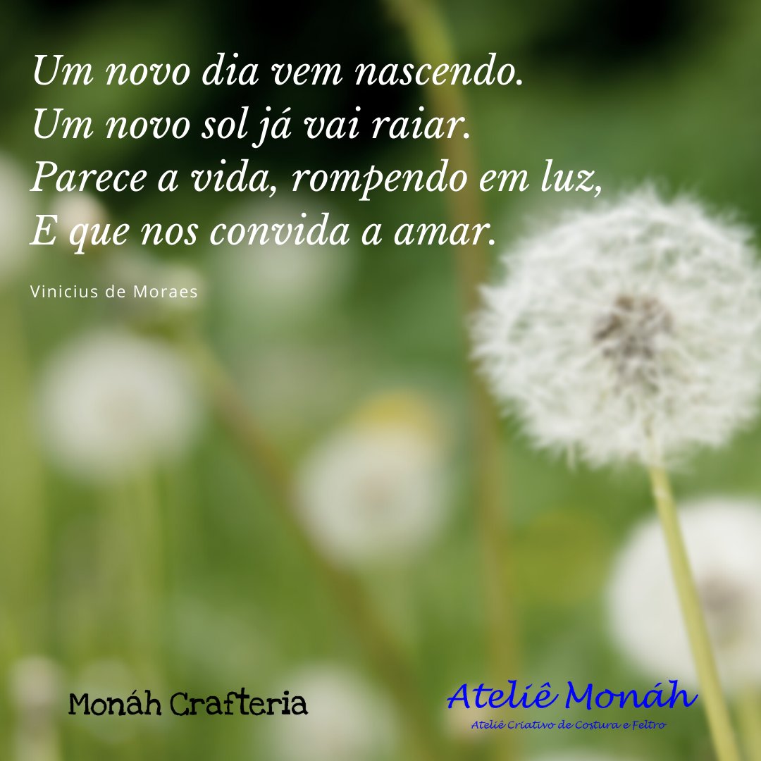 MonahCrafteria's tweet photo. De nada adianta um renascer, um recomeço, se você não está preparado.
Um 2020 de amor, esperança, alegrias e fé... e que não nos falte saúde e muito trabalho! https://t.co/IYcjqP6Bis