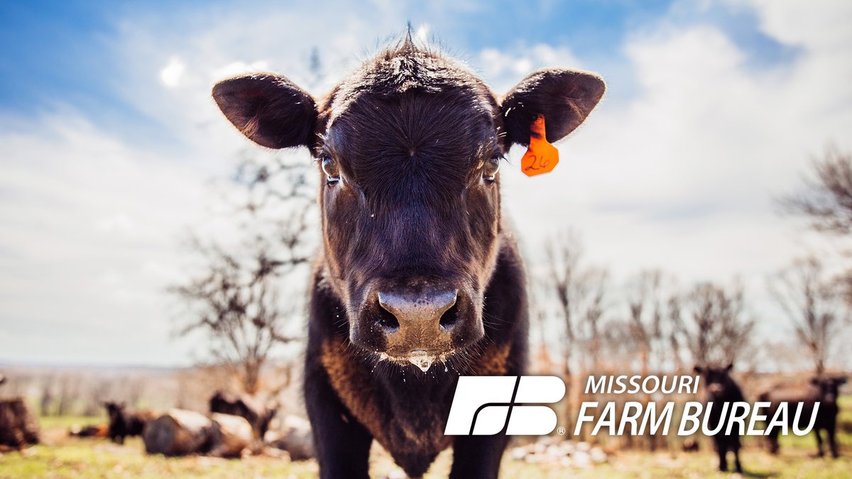 Missouri Farm Bureau