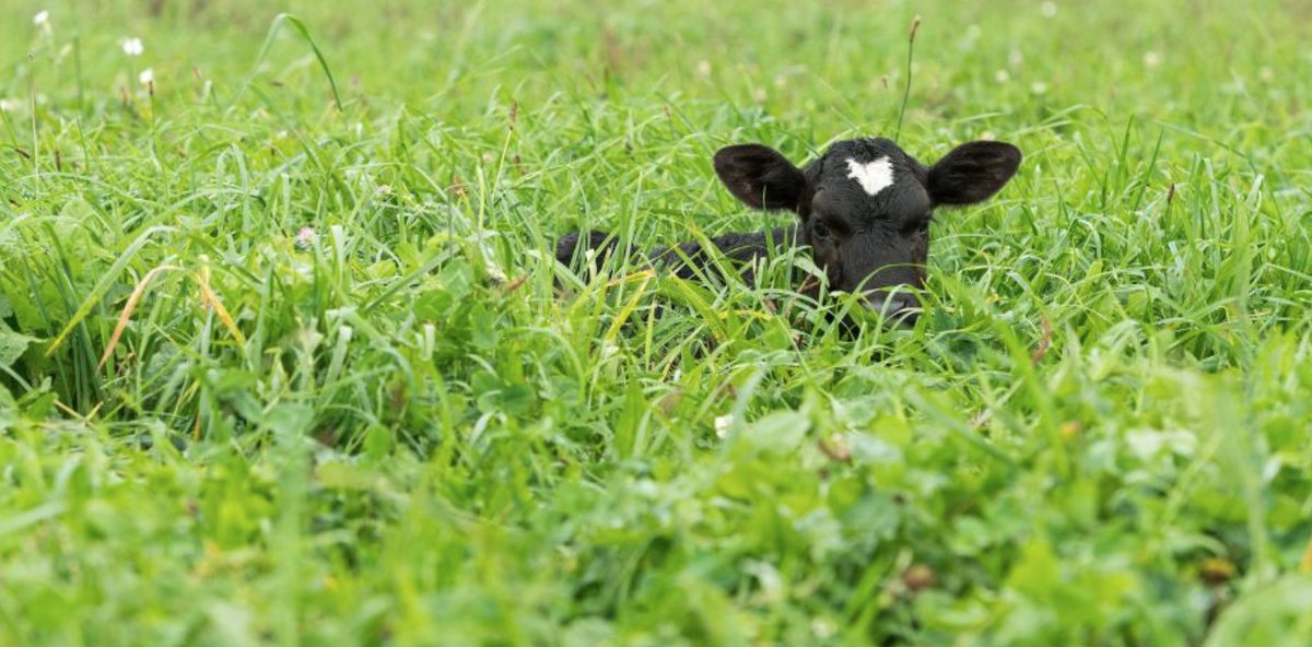 Peek-a-boo, it's the new year looking right at you! 😍