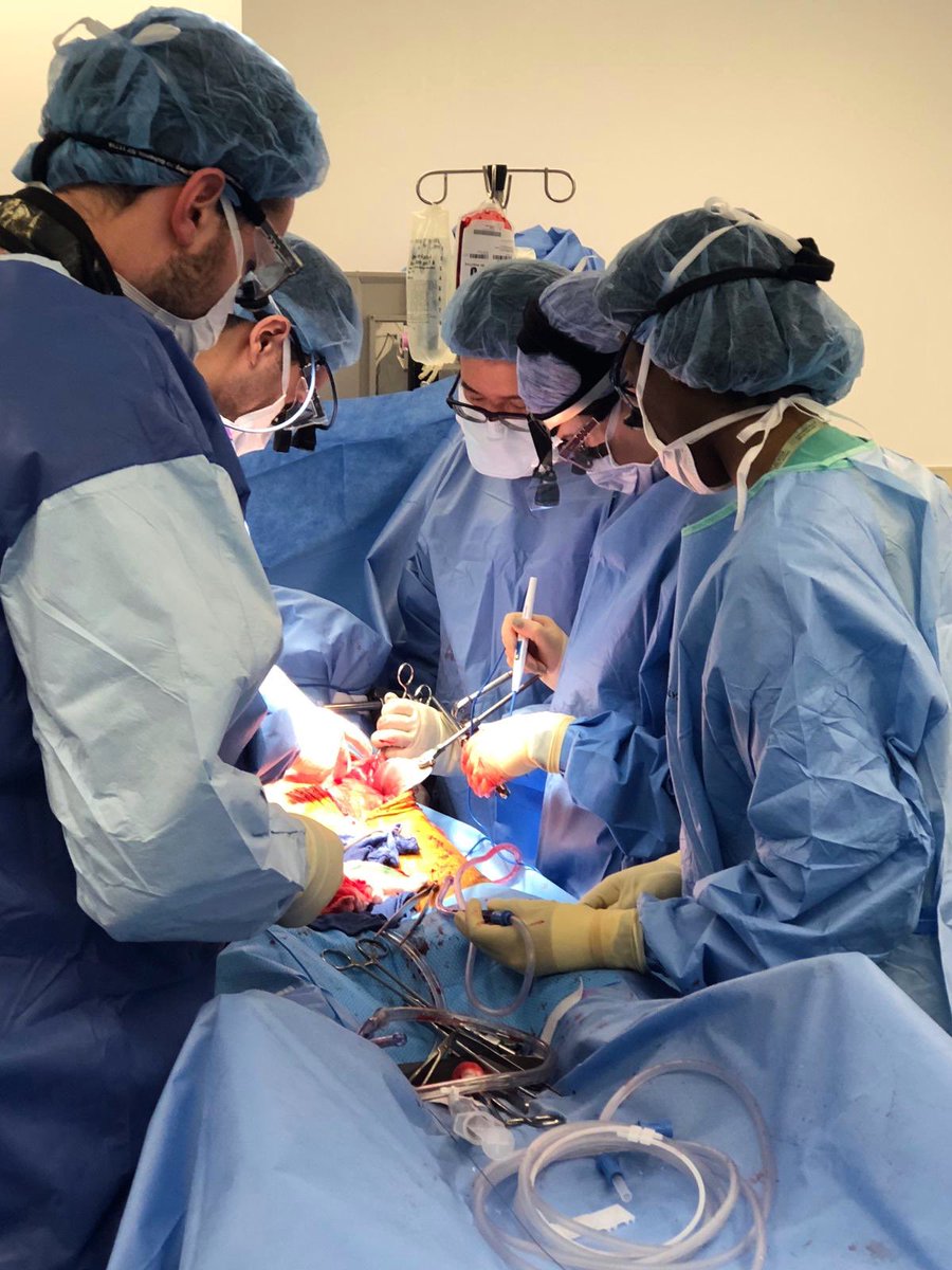 Lucyna Price, MD tweet media