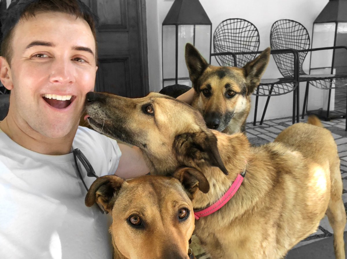 lavercombe's tweet photo. Last year my New Year’s resolution was to hang out with more dogs. This New Year I’ve achieved it. Meet Xavier, Za Za, and Tequila!  
🐾♥️🐾

#dogsoftwitter #dogsofcapetown #dogs https://t.co/2GriJIC7WN