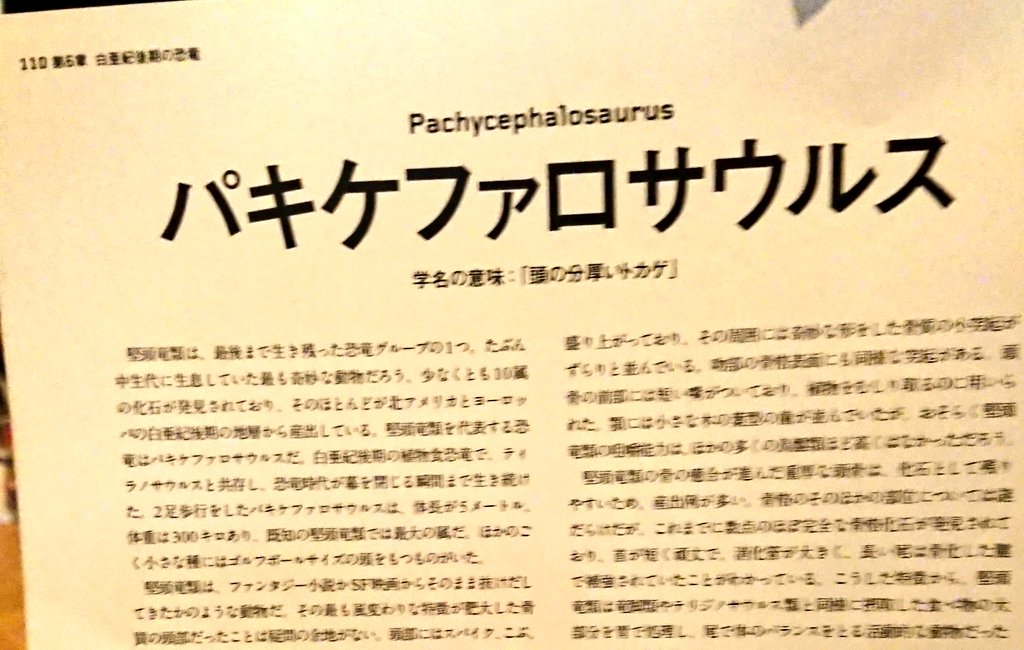 うちにある図鑑にもちゃんといたよ、パキケファロサウルス!!!!
学名の意味は「頭の分厚いトカゲ」。堅頭竜類って、化石通りの名前だね…………(ФωФ)白亜紀後期の草食恐竜で体長は4～5mだってさ。
そんなパキケファロサウルスを発掘しちゃったのが嬉しすぎて、ずっとニマニマしてる。 