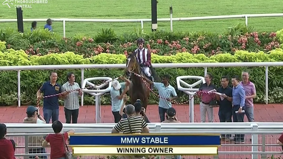 WattleBldstk's tweet photo. 🏆 2ND WINNER for 2020 🏆

SURGE (by Exceed And Excel) wins the final race of the day in Singapore.
Congrats @DragonLeticia, John Powell and MMW Stable.

Formerly known as Osorno in AUS the winner was a $80k buy from @godolphin at @mmsnippets Summer Racehorse Sale.

#SGracing 🌊 https://t.co/7YRyeRCbiH