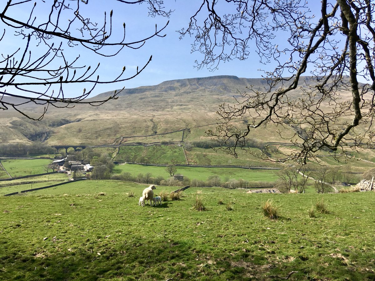 A happy New Year. Now looking forward to spring in the #LakeDistrict #Cumbria. Picture from Mallerstang, south of #KirkbyStephen in the Eden Valley. The scenic <a href="/setcarrailway/">Settle-Carlisle Railway CRP</a> is in the distance.
<a href="/FeatureCumbria/">@featurecumbria</a> <a href="/VisitEden/">Visit Eden</a> <a href="/VisitUpperEden/">Kirkby Stephen & Upper Eden Visitor Centre</a> <a href="/AnnSandell/">KSWaW</a> <a href="/BlackSwanEden/">Blackswanhotel</a> <a href="/BrownberHall/">Brownber Hall</a>