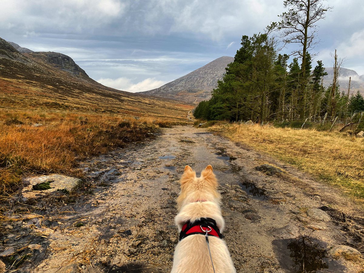 NI_EXPLORER's tweet photo. 🎈 It’s only a number... but January IS a great time to plan in some adventures. Try this one:

#CarrickLittle car park ➡️ #BlueLough ➡️ #BenCrom Reservoir viewpoint [3-4 hrs up and down, including lots of stopping time]

More ideas: https://t.co/tuAPzZiRFy
👍 https://t.co/rBZPzfEwty