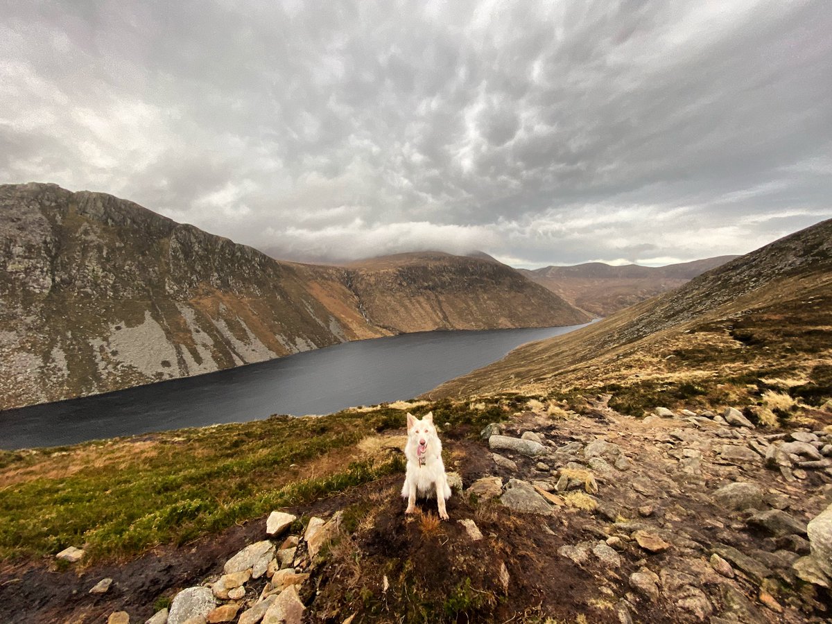 NI_EXPLORER's tweet photo. 🎈 It’s only a number... but January IS a great time to plan in some adventures. Try this one:

#CarrickLittle car park ➡️ #BlueLough ➡️ #BenCrom Reservoir viewpoint [3-4 hrs up and down, including lots of stopping time]

More ideas: https://t.co/tuAPzZiRFy
👍 https://t.co/rBZPzfEwty