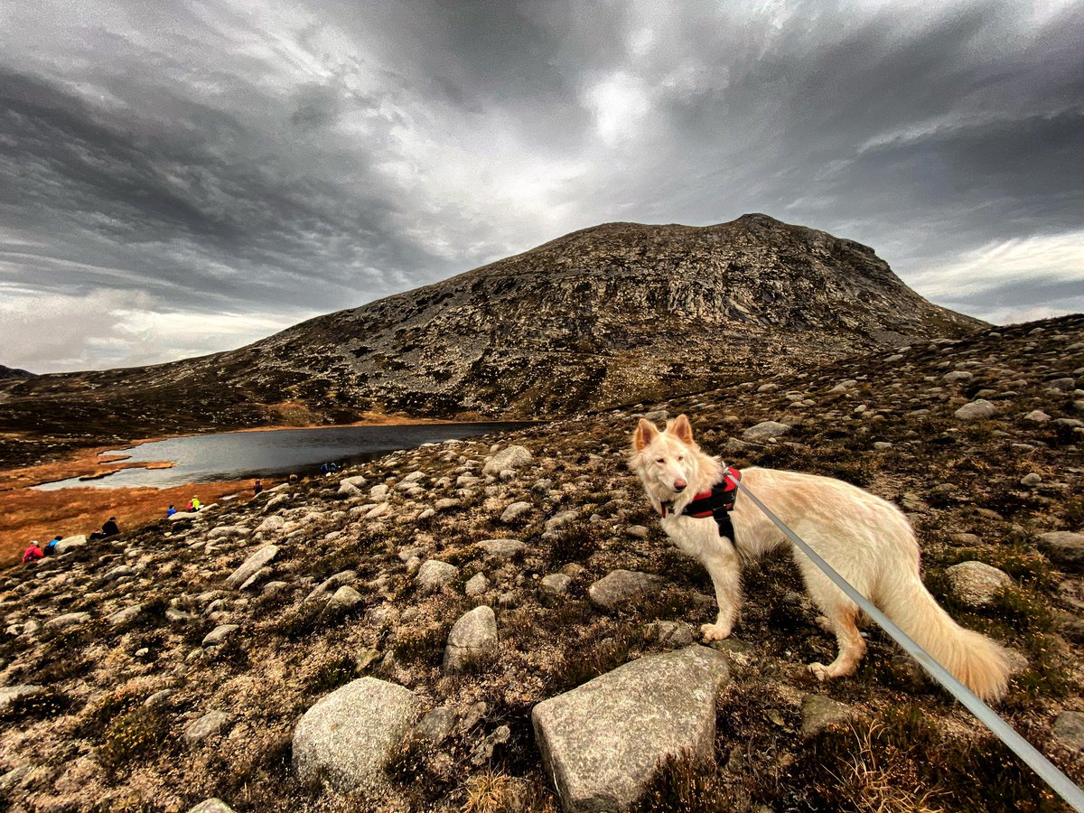 NI_EXPLORER's tweet photo. 🎈 It’s only a number... but January IS a great time to plan in some adventures. Try this one:

#CarrickLittle car park ➡️ #BlueLough ➡️ #BenCrom Reservoir viewpoint [3-4 hrs up and down, including lots of stopping time]

More ideas: https://t.co/tuAPzZiRFy
👍 https://t.co/rBZPzfEwty