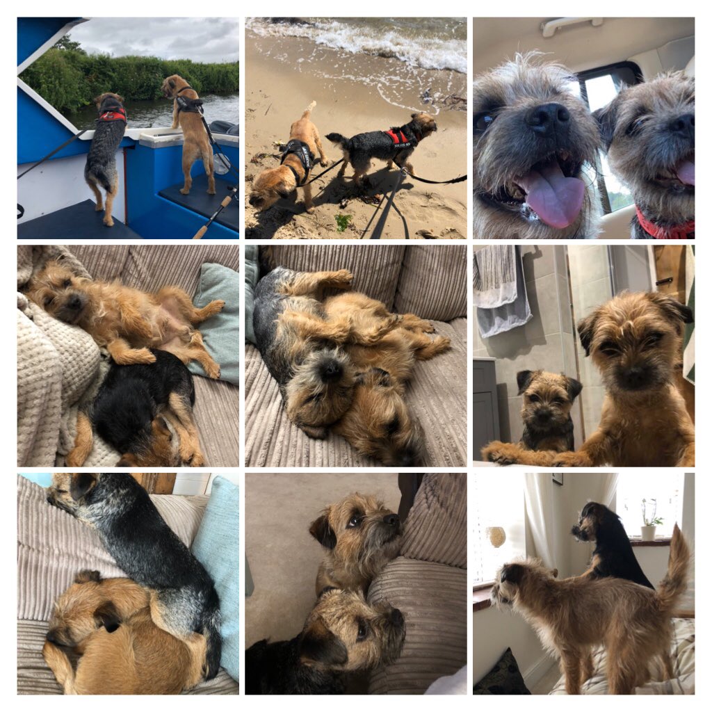 lisajaynes47's tweet photo. #BTPosse #BTYearinReview
Some faves from Ted and Lolaโs year ๐โค๏ธ https://t.co/WpeCeJDOhj