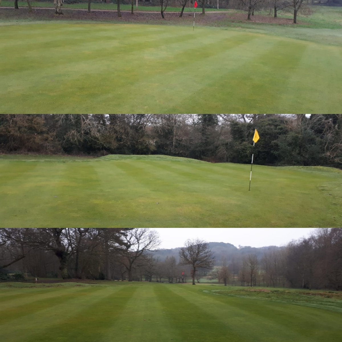 greenkeeperdave's tweet photo. Greens had a cut this morning and they have had a full 2019 with no fungicide , not saying I won't ever again as I may get pressure from above but  so far I am  very lucky I'm in an environment were I can experiment a bit October 2018 was last fungicide application #greenkeeper https://t.co/9xJSy7Thbq