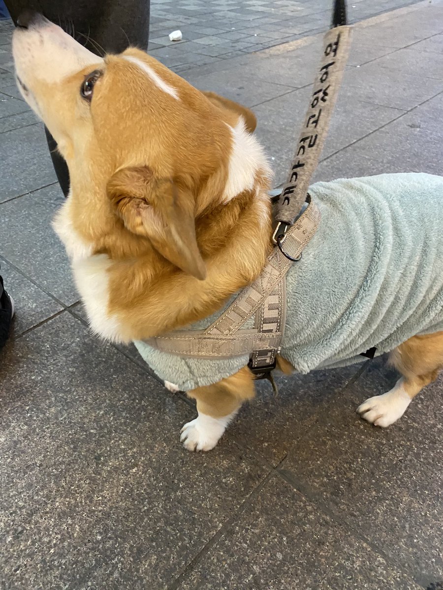 바뉘 tweet media