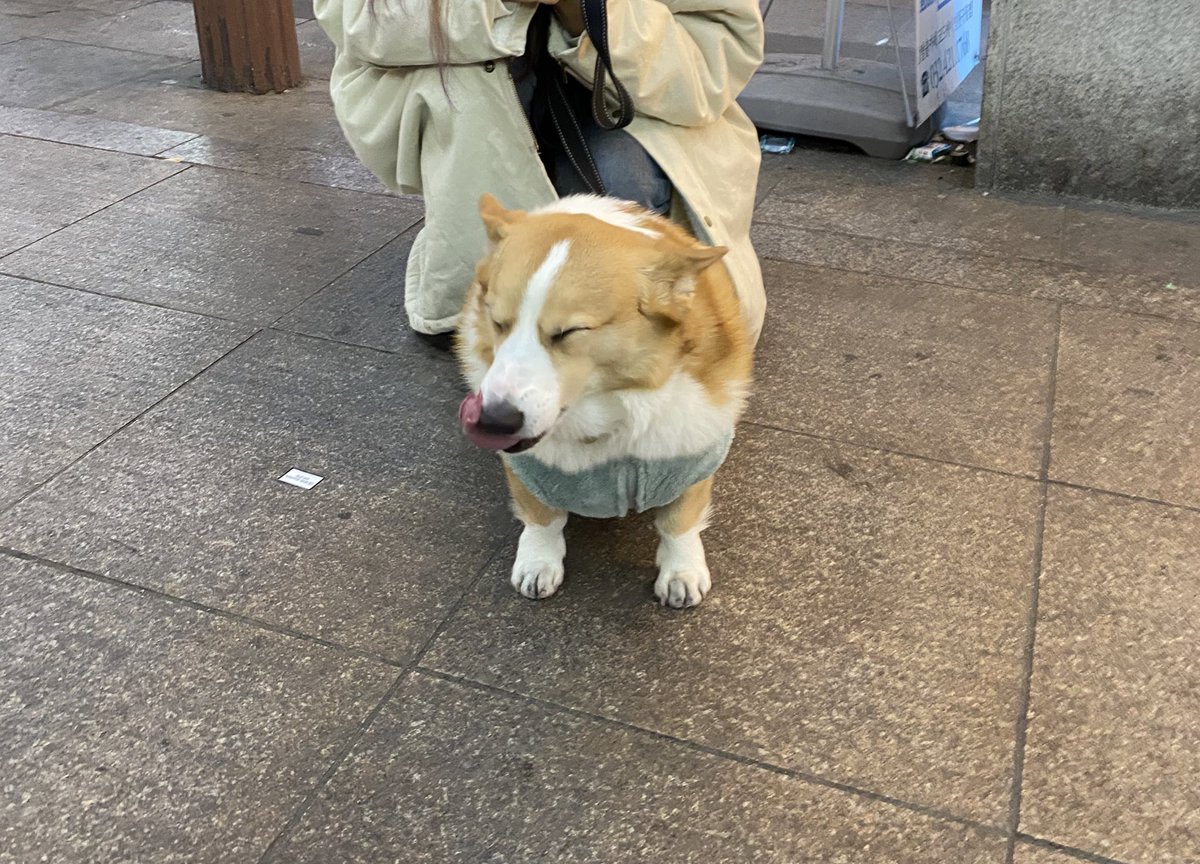 바뉘 tweet media