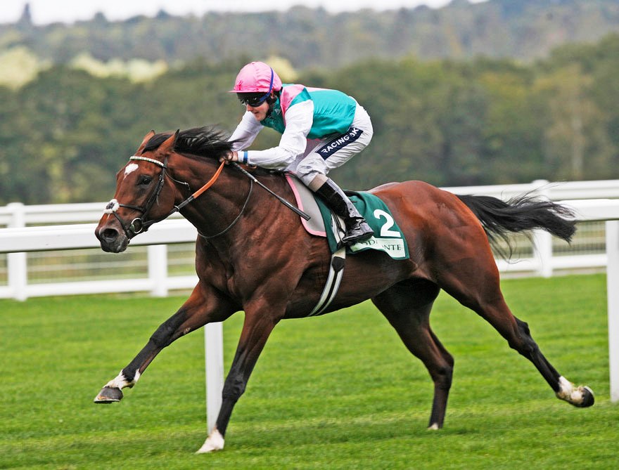 OwenDavin's tweet photo. For racing fans of #BackToTheFuture and #Frankel interesting to see jockey #TomQueally taking the ride on #OwenacurraLass in the 1.10 race @TramoreRaces today. #greatname https://t.co/bdy3UkXlGX