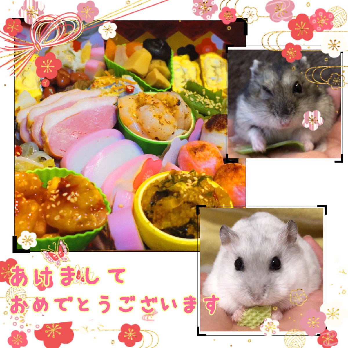 NP_kiho's tweet photo. 新年明けましておめでとうございます💕
おせち作った〜✨
ココとメルとゆっくり過ごしてます！
今年も宜しくお願いします😆 https://t.co/fket3Zm1GF