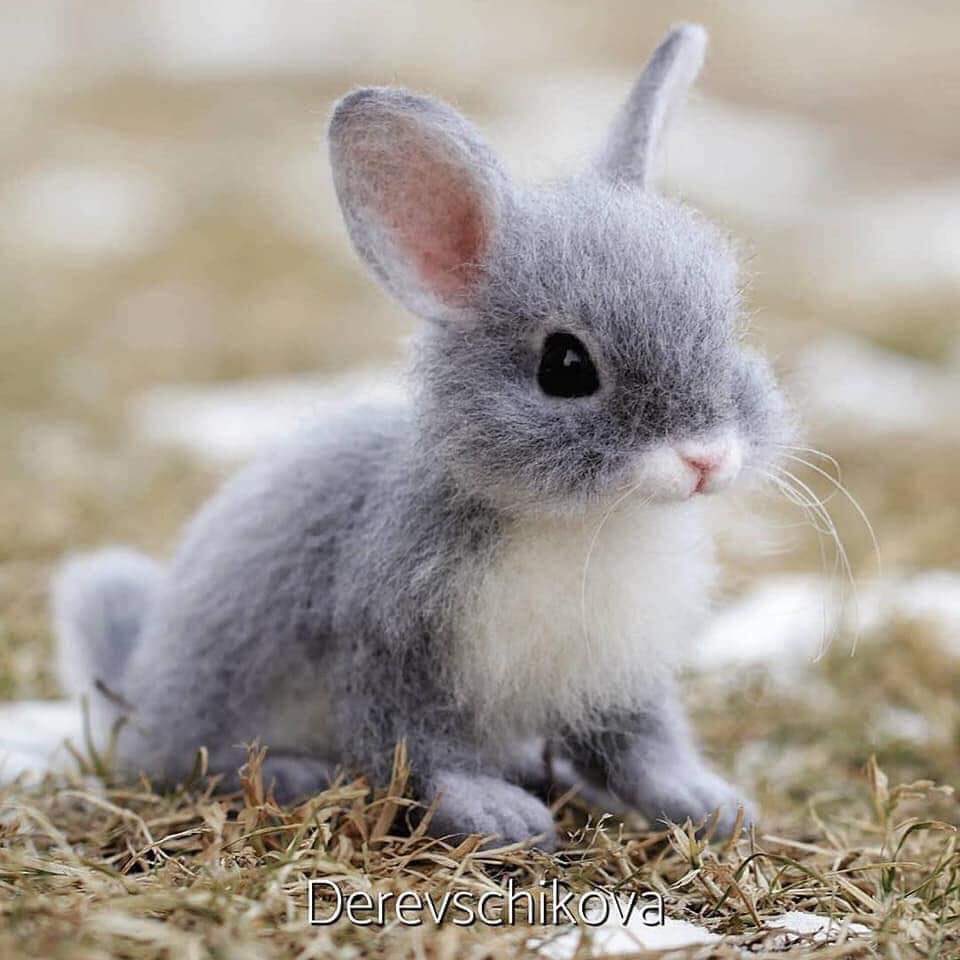 mhxvegan's tweet photo. น้องกลไน💓 @konkaixminhyun กะ น้องอยัน💓 @aranxsw https://t.co/X9jGIQfK5I