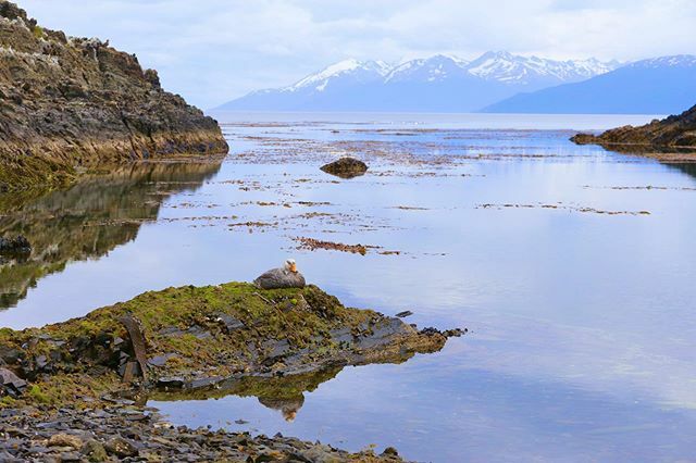 dogclimb's tweet photo. #Ushuaia #Patagonia #findelmundo https://t.co/jieGGUpoTq https://t.co/eErRCh4zld