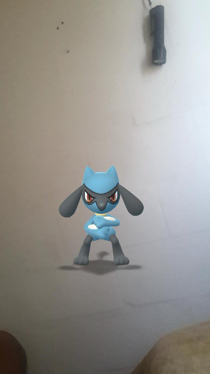 MysticCauliBud's tweet photo. Hey Buddy! Good morning #PoGoers, Happy New Year wherever you are. Remember true love is the solution. Let's find back love for one another in 2020! #PokemonGo #PokemonGoTrinidad #PokemonGoTrinidadAndTobago #TrinidadAndTobago #PokemonGoResearchLabs πΉπΉπΉπΉ https://t.co/HuU76Sc8HV