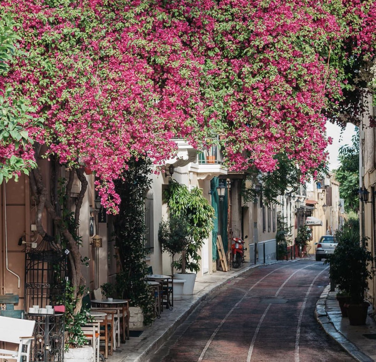 "نتوارى أحيانًا خلف صيغ الجماعة، ونحن نريد بها فردًا واحدًا".

✨🕊