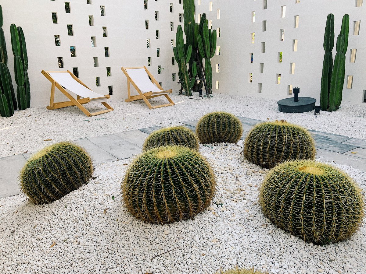 Sydney on Twitter: "ร้านน่ารักอีกแน้ว Breeze Box Cafe x Cactus 🌵พิกัด จอมเทียน พัทยา… "