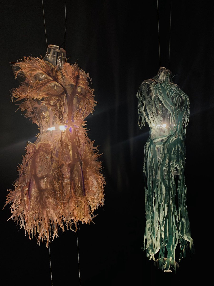 estavoyerR's tweet photo. Future and the Arts - Nakazato Yuima integrates modern day technology with fashion https://t.co/6Ci371cuVd