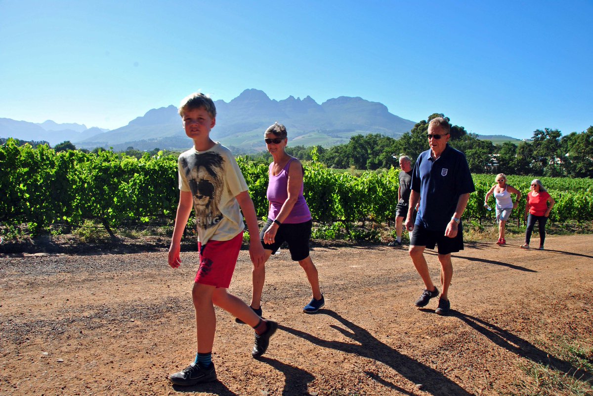 parkrunSA's tweet photo. Did you join us at parkrun this morning?

🔁 Retweet if you walked, jogged, ran or volunteered

Then we'd love to hear your stories and see your #parkrun pics below as always! 👇🏾

🌳 #loveparkrun https://t.co/FzqJpQn3yU