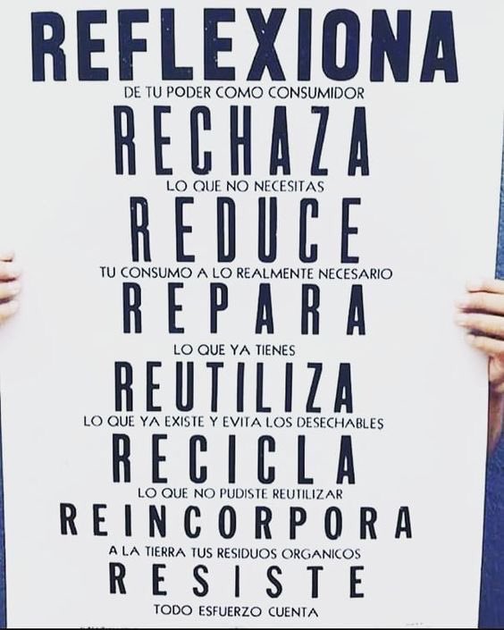NESI tweet media