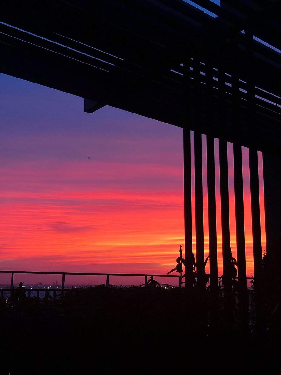 mars. tweet media
