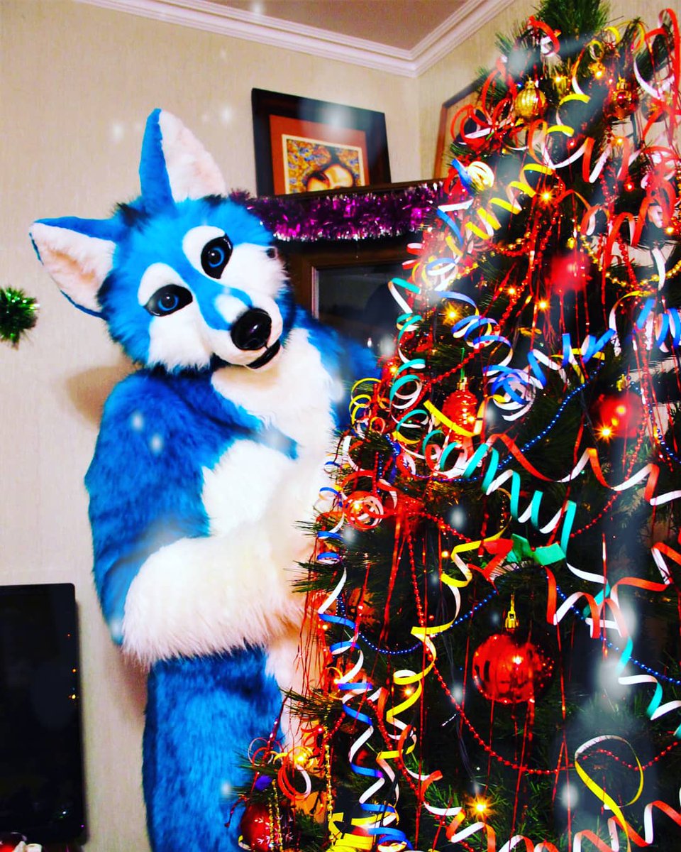 SBluehusky's tweet photo. Happy New Year and Merry Christmas!!🎉🎉🎉🎄🎄🎄🎊🎊🎊🎅🎅🎅
#фурри #фуррифендом #sapelka #furrystudio #furryfandom #furry #rusfur #fursuit #fursuiting #fursona #furryrussia #FurryFriends #новыйгод #newyear #newyear2020 https://t.co/5qEnCOoWoR